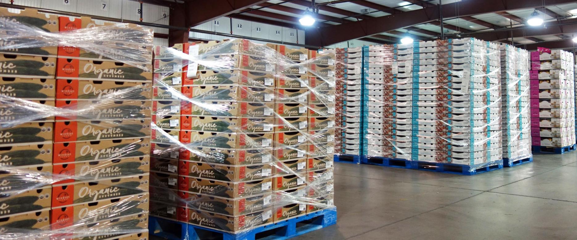 GVS Warehouse